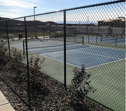 Building Photo - 1395 E Black Brush Dr