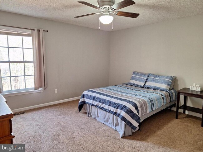 Building Photo - 12 Albano Ct