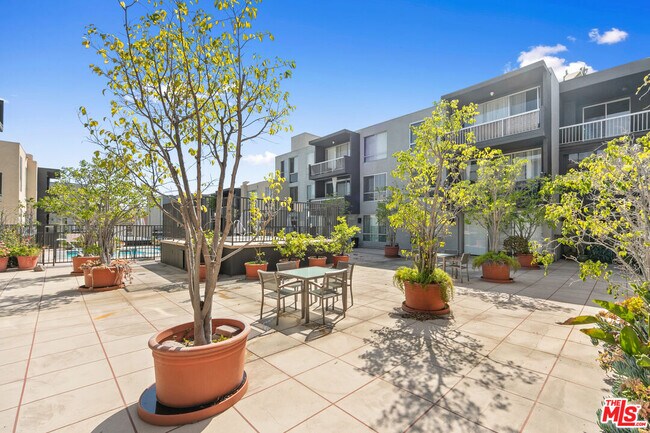 Building Photo - 1745 Camino Palmero St