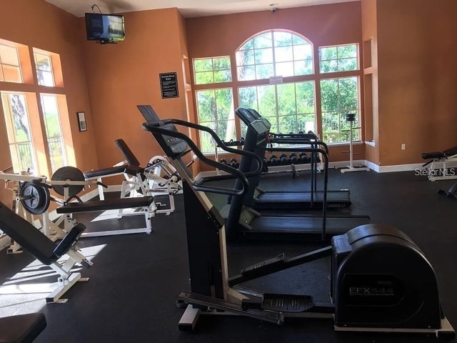 Gym 24/7 - 13103 Mulberry Park Dr