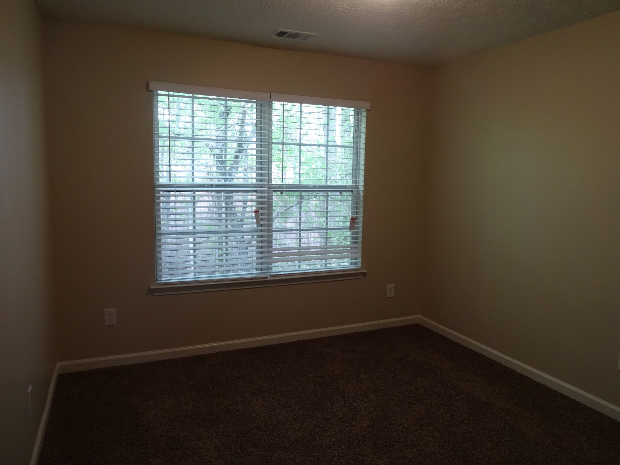 Building Photo - 361 Ash Trace Ln