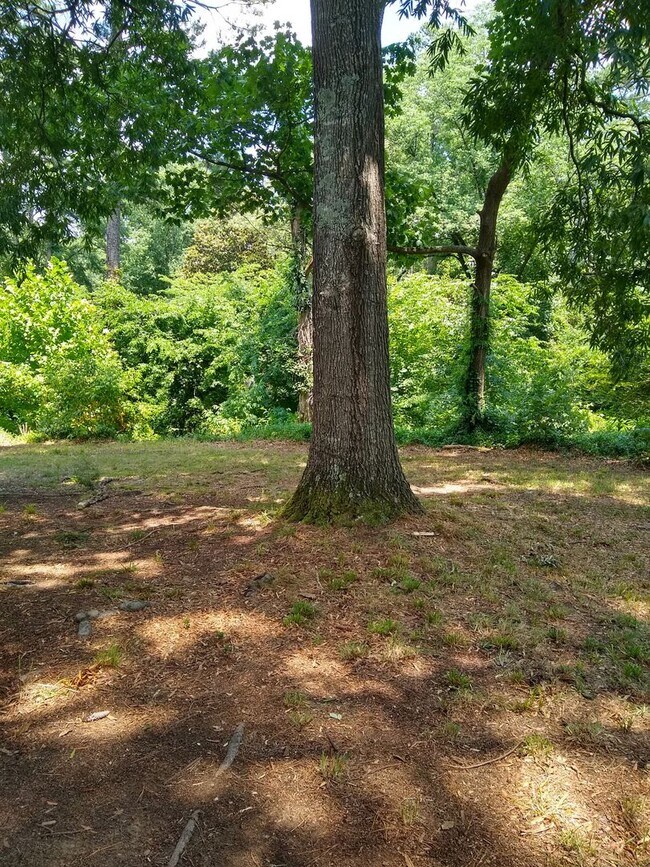 Building Photo - Chapel Hill / 4BR House in Historic Distri...