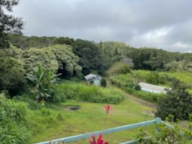 Building Photo - 2 Bedroom 1 Bath plus an office on a 8 acre farm