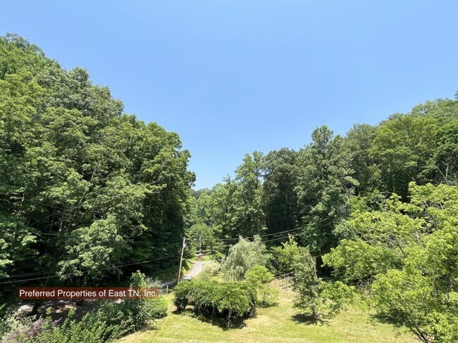 Building Photo - 709 Brown Mountain Rd