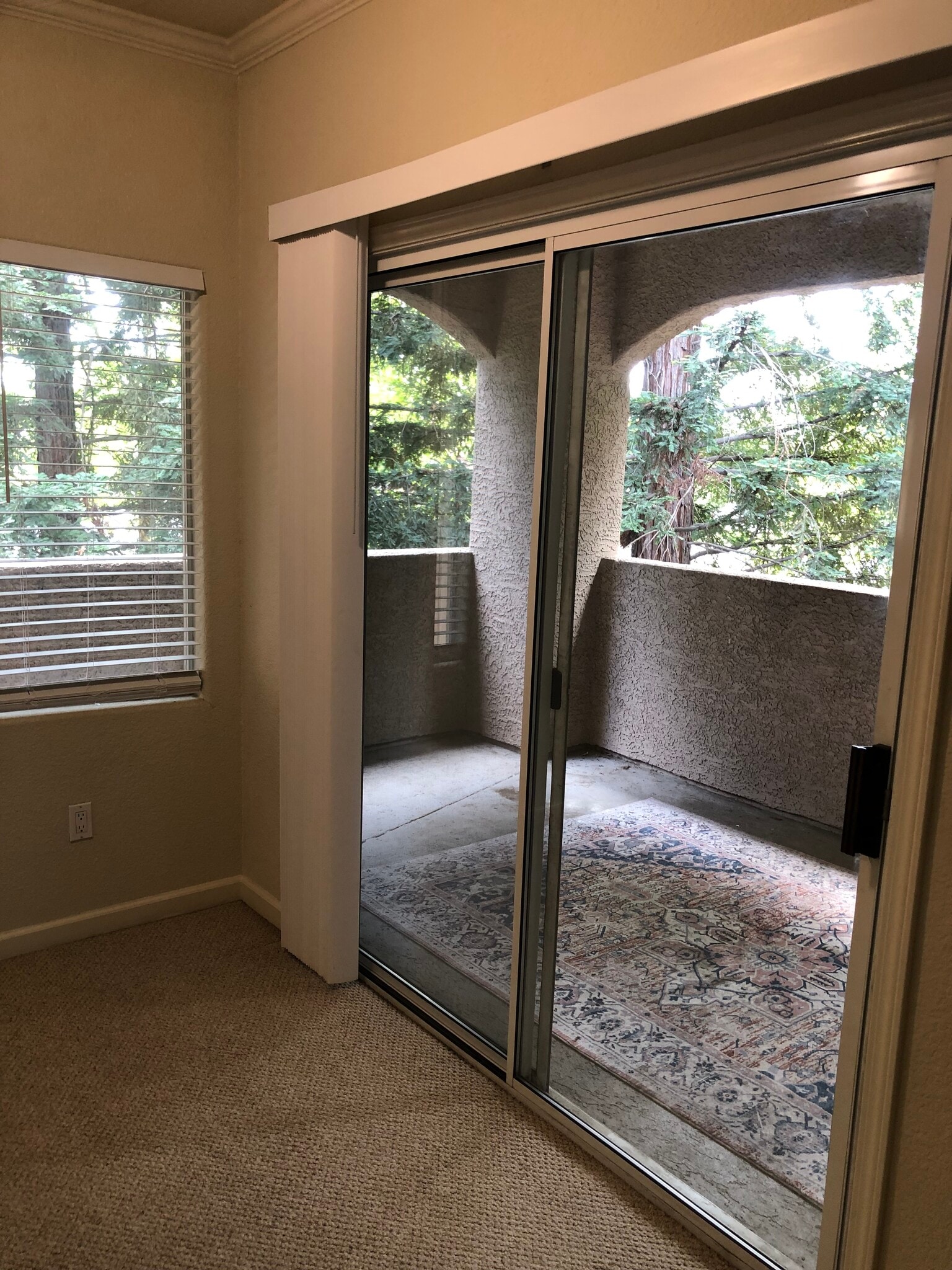 Wrap around Patio off the living room - 10001 Woodcreek Oaks Blvd