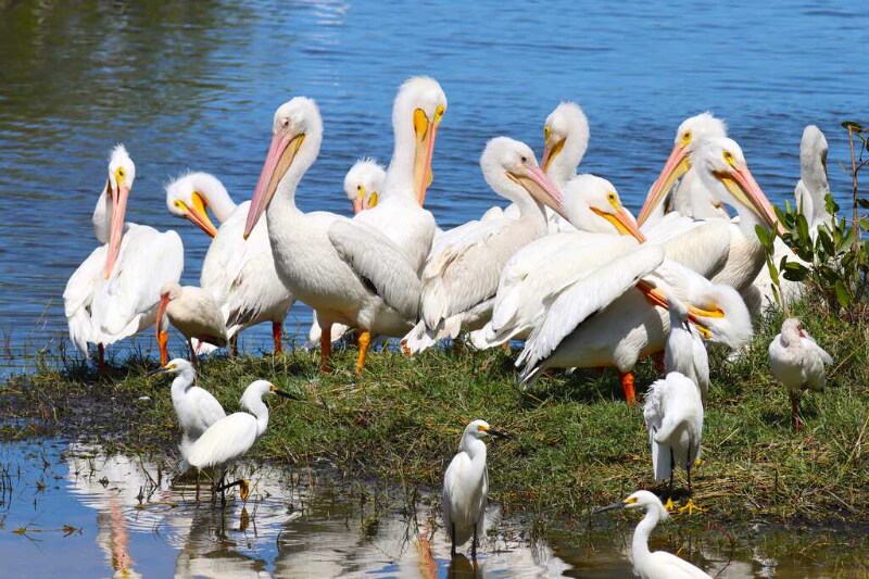 Building Photo - 4565 S Atlantic Ave