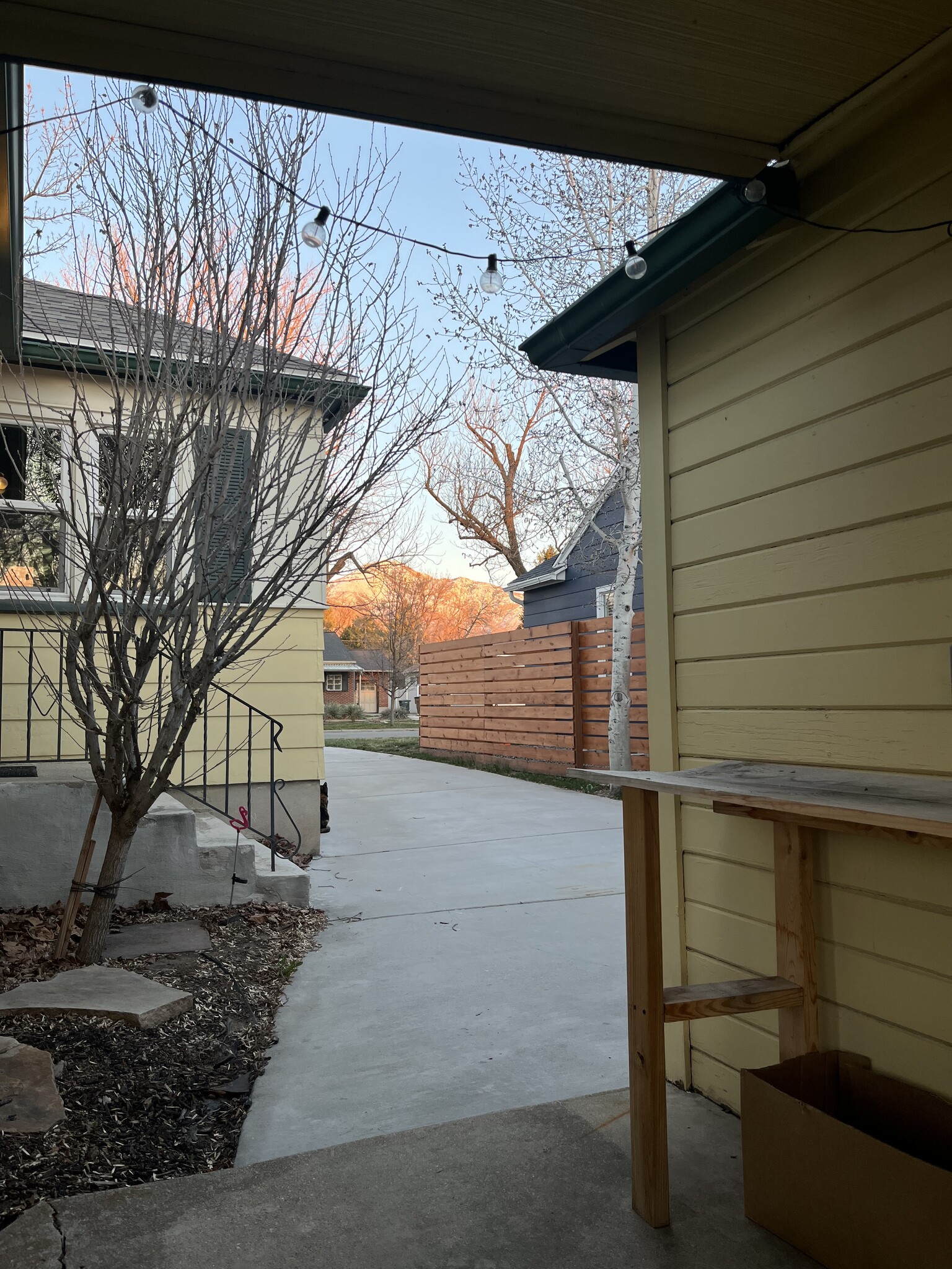 Sideyard - 1906 S Imperial St