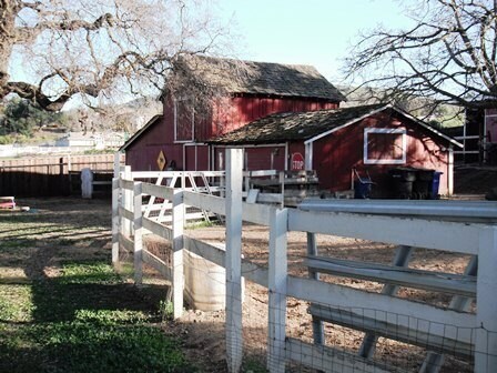 Building Photo - Almaden Valley Ranchette on 1+ Acre | Pool, Horse Property & Views