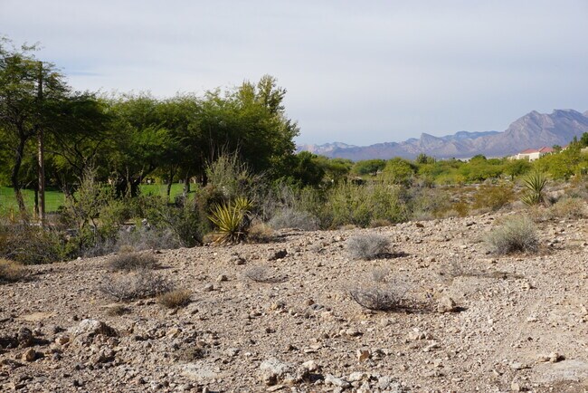 Building Photo - TOTALLY RENOVATED Summerlin Condo - Lake Mead/Buffalo * 2 Bedroom 2 Bath