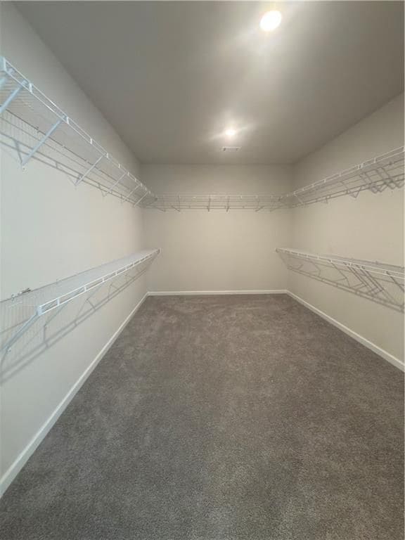 Building Photo - 5270 Woodline View Cir