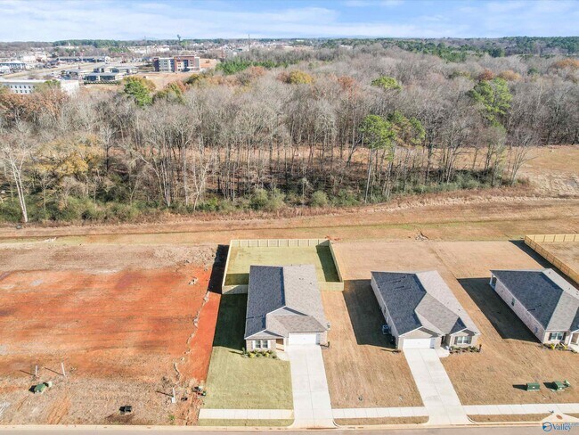 Building Photo - 1251 Eidson St