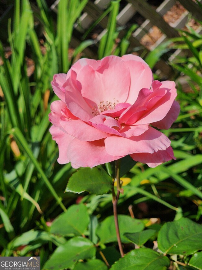 Building Photo - 180 Sycamore Bend