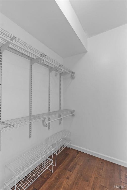 Building Photo - 2444 Southwind Meadows Ct