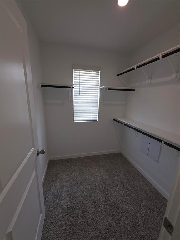 Building Photo - 3013 La Latina Dr