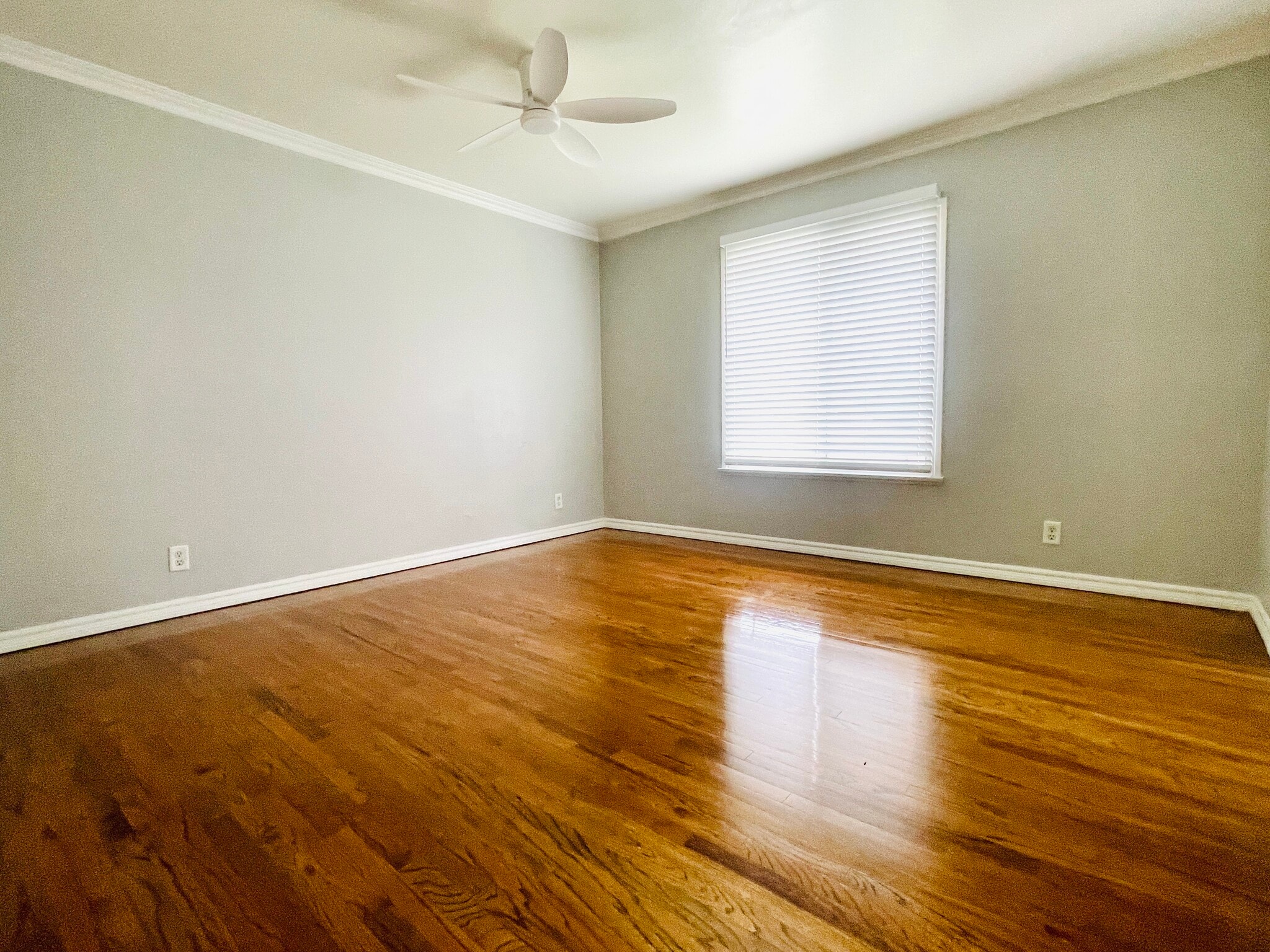 Building Photo - 10473 Rose Ann Cir
