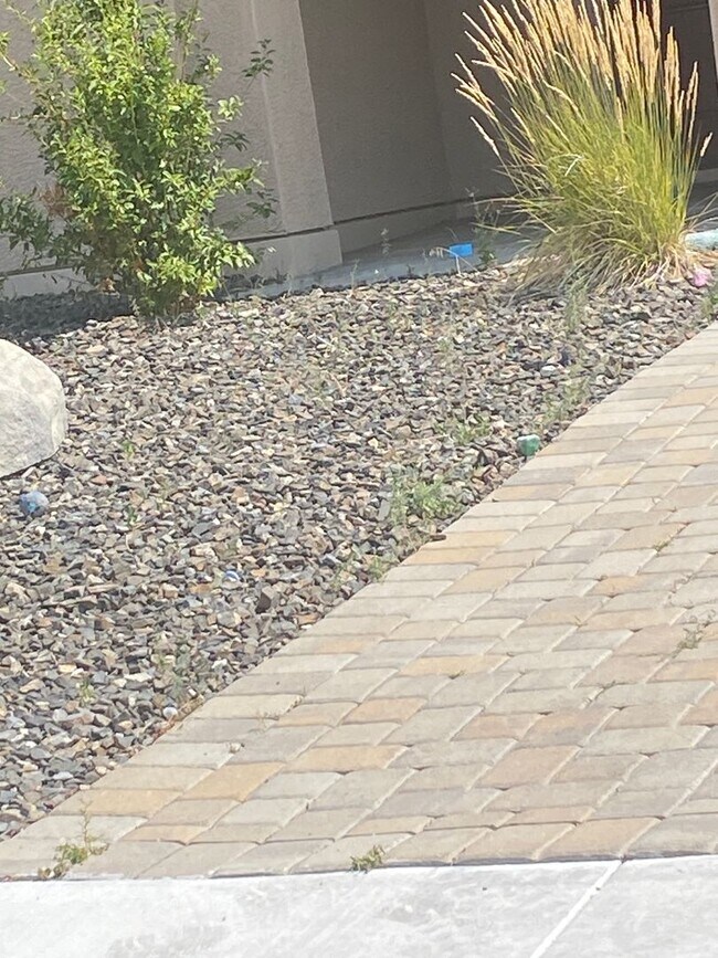 Building Photo - Single Story Home in South Reno