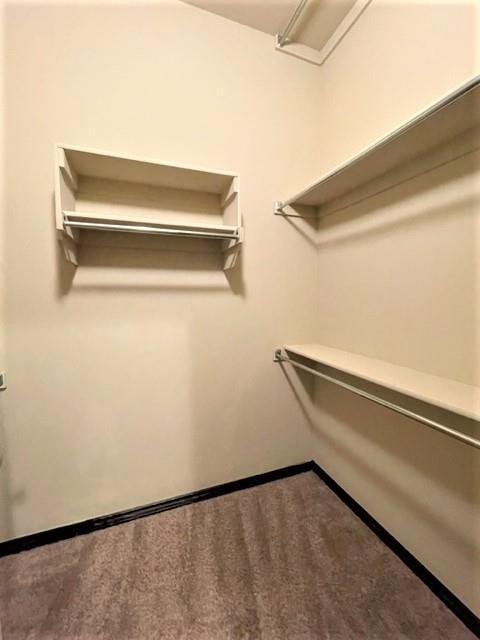 Building Photo - 1016 Merlin Dr