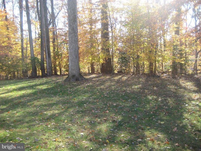 Building Photo - 8022 Cypress Grove Ln