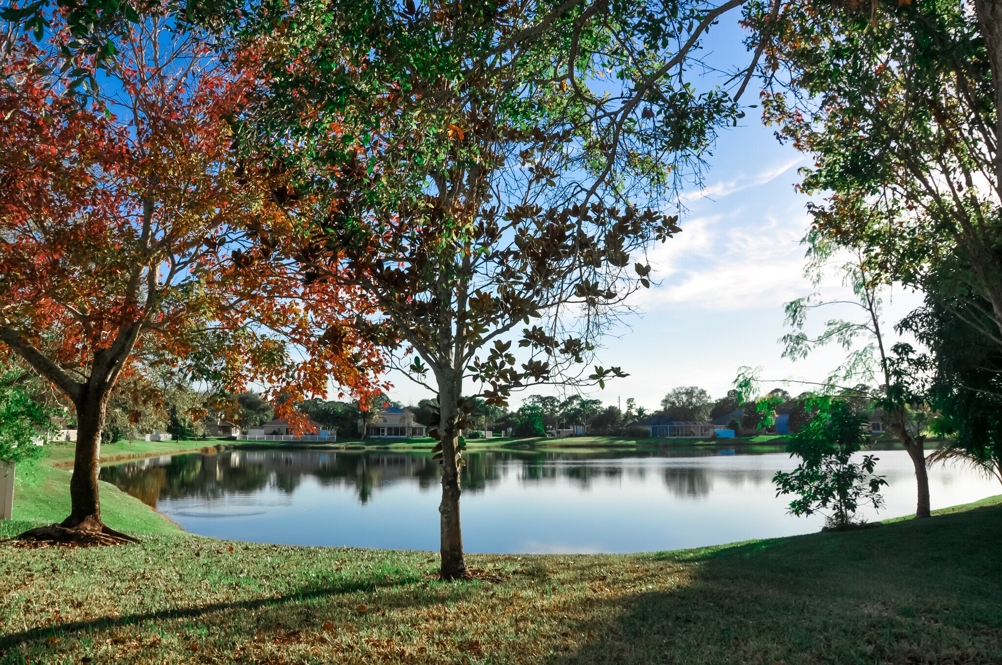 Building Photo - 5855 Orangewood Ln