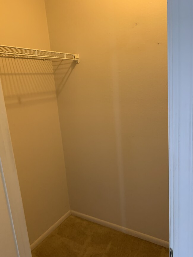 walk in closets - 4456 Stumberg Ln