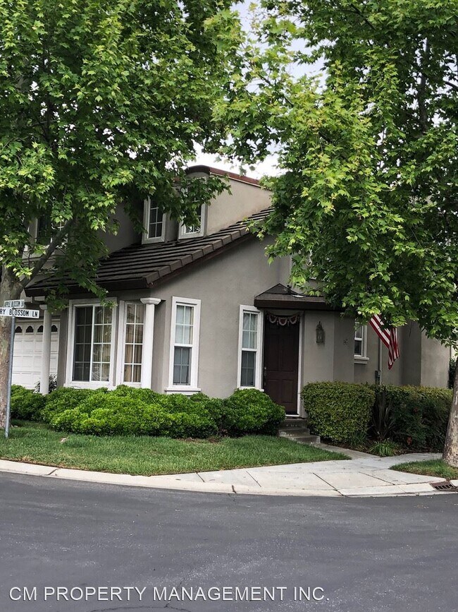 Primary Photo - 4 br, 2 bath House - 300 Apple Blossom Ln.