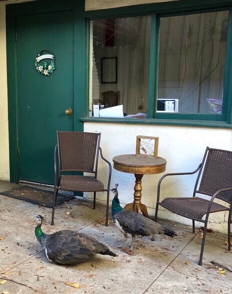 Building Photo - 8337 Lookout Mountain Ave