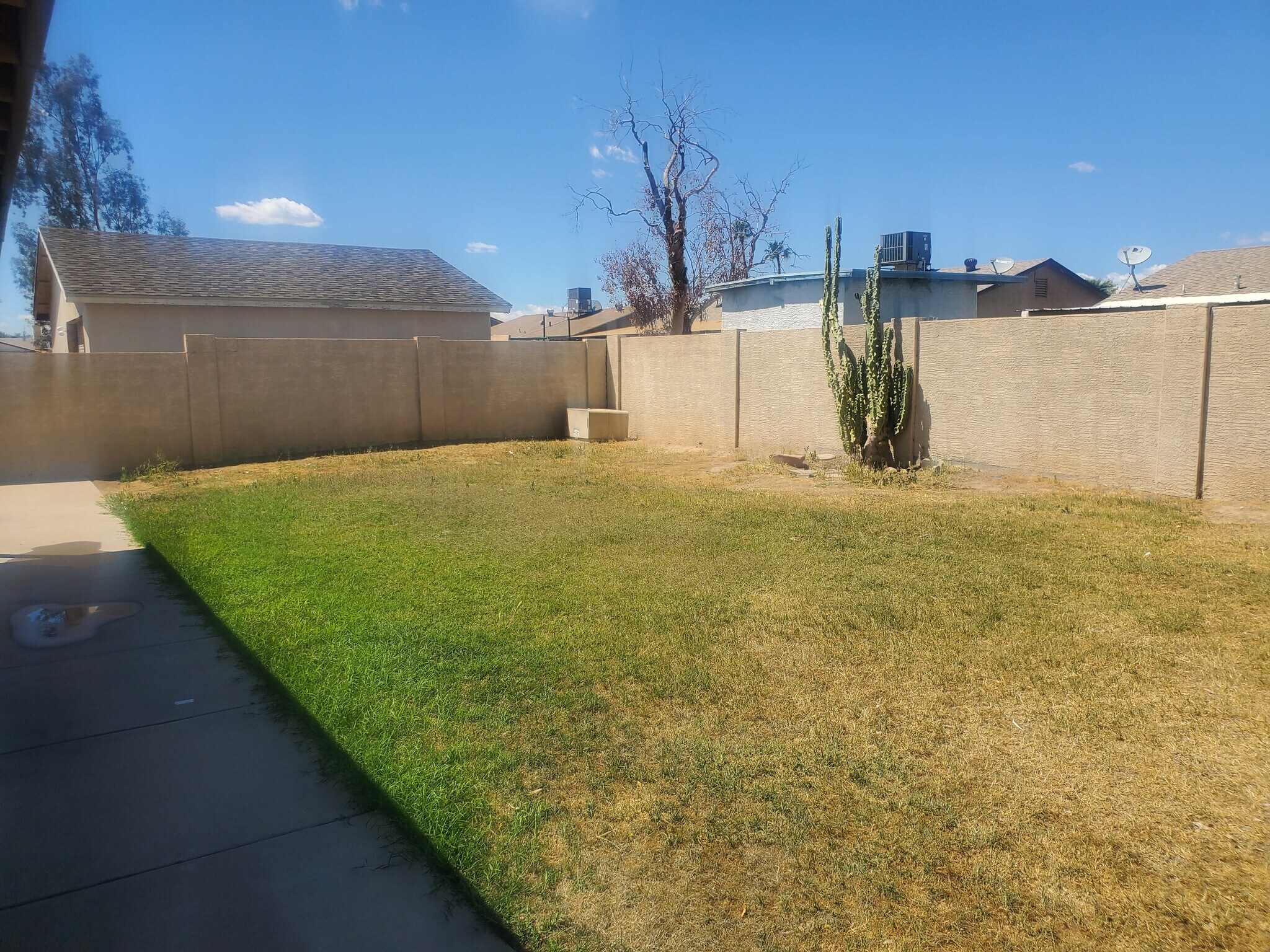 Building Photo - 8822 W Sahuaro Dr