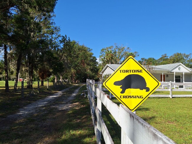 Building Photo - NEW SMYRNA BEACH MONTHLY RENTAL - POOL HOM...