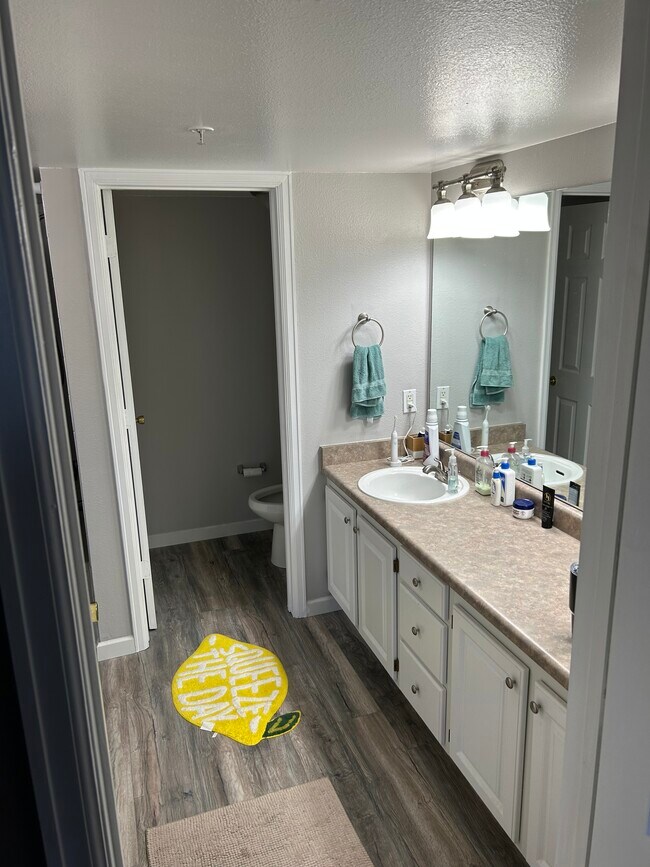 Bathroom - 12770 Ironstone Way