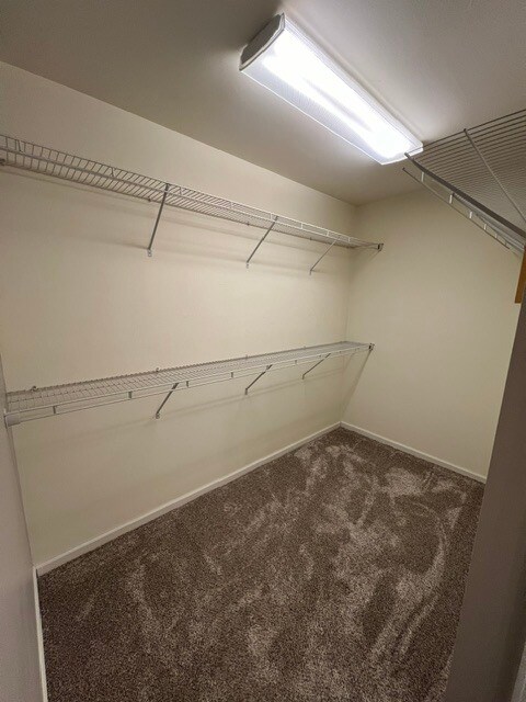 Primary Closet - 642 Dundee Ln