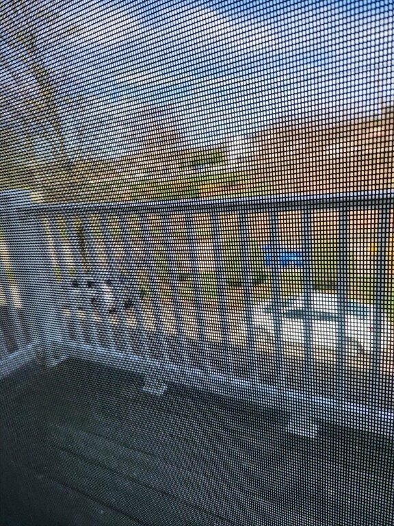 Building Photo - 135 Q E Main St