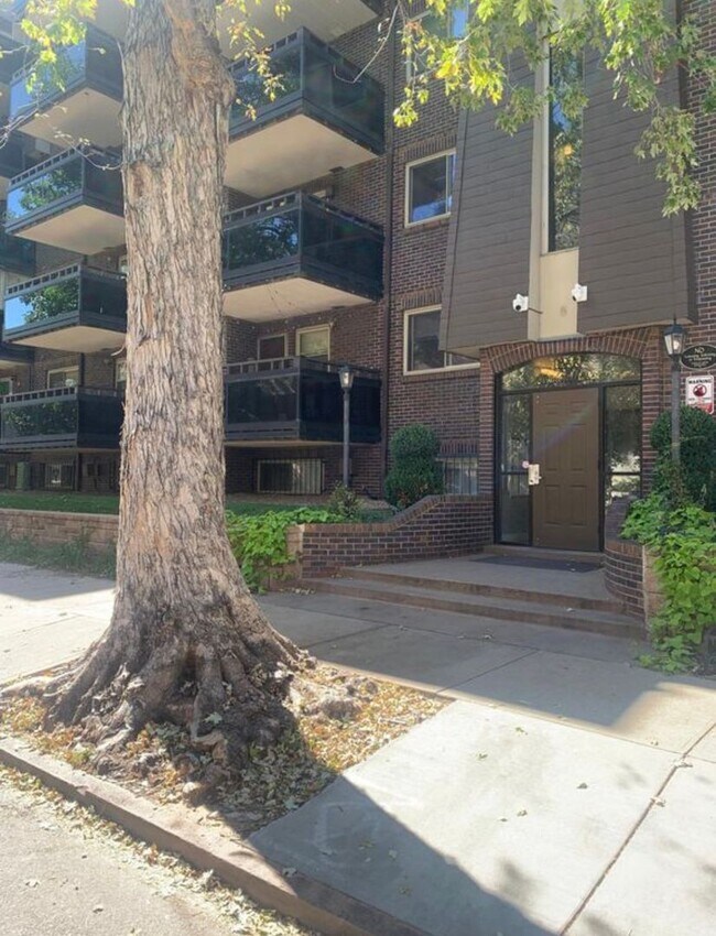 Building Photo - Cap Hill Gem – Walk to Cheesman Park | Pool + Balcony
