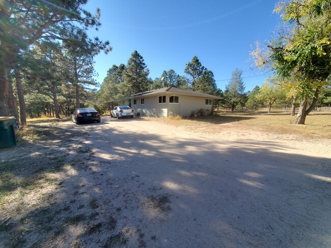 Building Photo - Stunning 4/3/2 Home in Black Forest!!!!