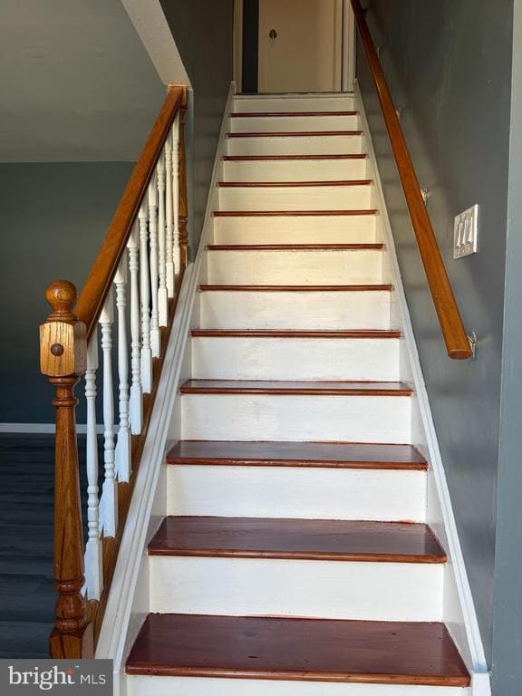 Building Photo - 2703 Mimosa Ct