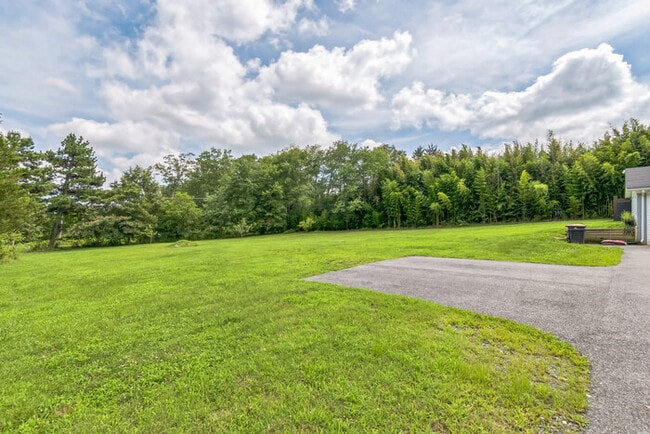Building Photo - Pet Friendly Mid-Century Modern 4/Bedroom,...