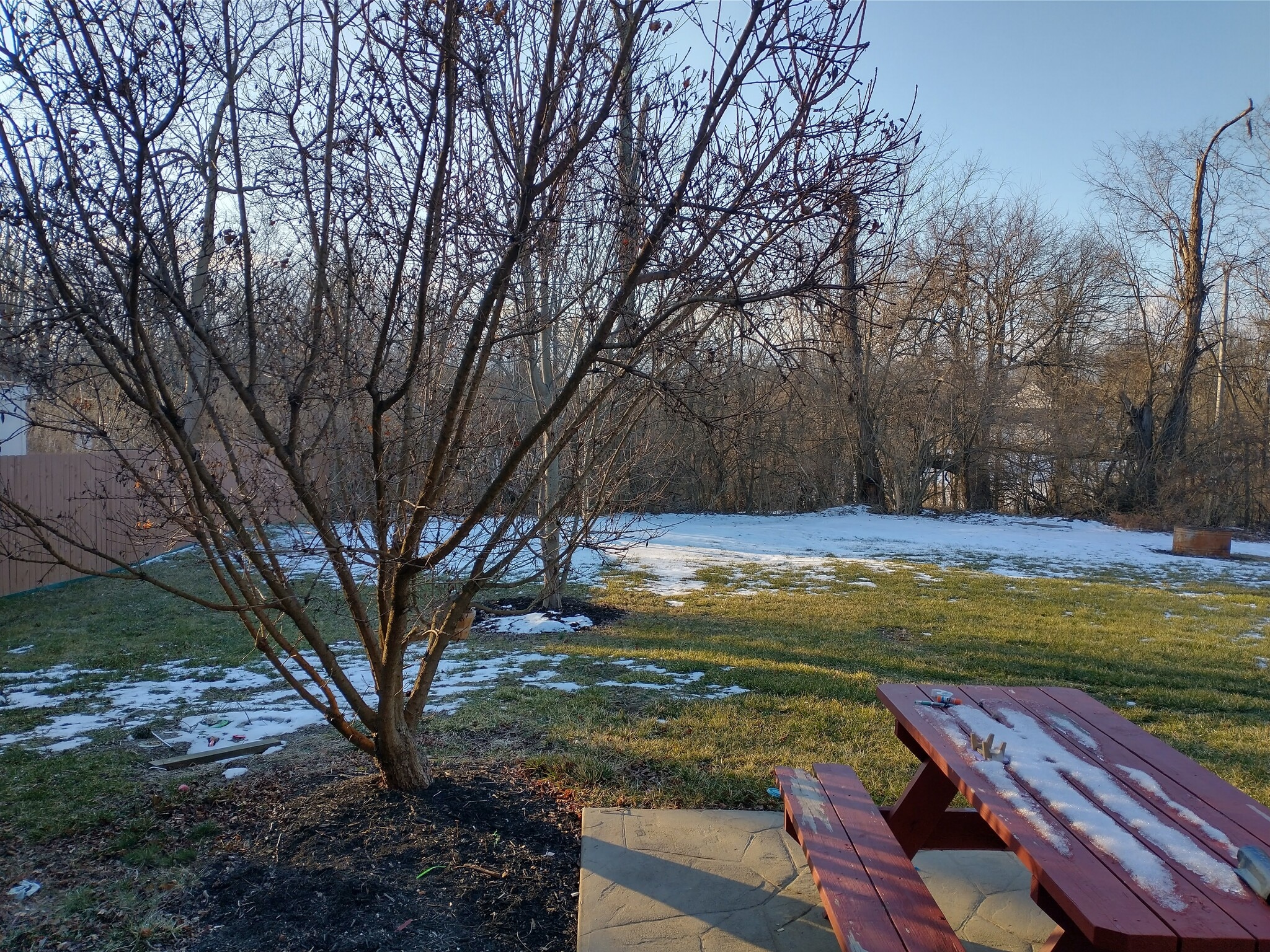 Back Yard - 1445 Urlage Dr