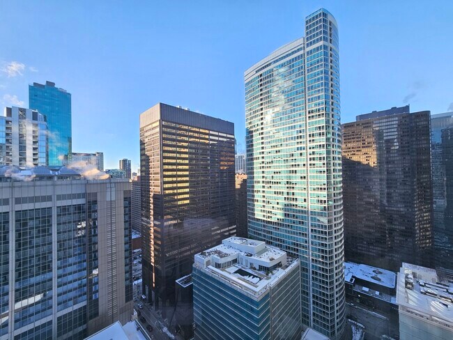 Building Photo - 512 N McClurg Ct