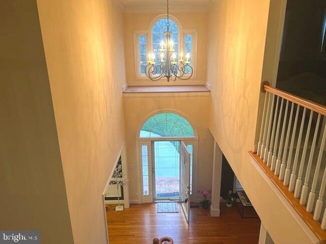 Building Photo - 11018 Shalom Ln