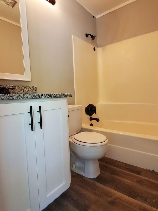 Building Photo - Newly remodeled, 3 bedroom, 2 bath home with large fenced in backyard in the heart of Rincon