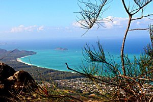 Building Photo - 55-116-116 Naupaka St