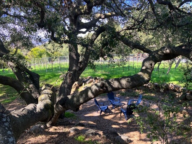 Building Photo - Lost Creek Upper Ojai