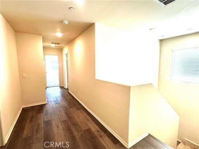 Building Photo - 2119 Lavender Ln