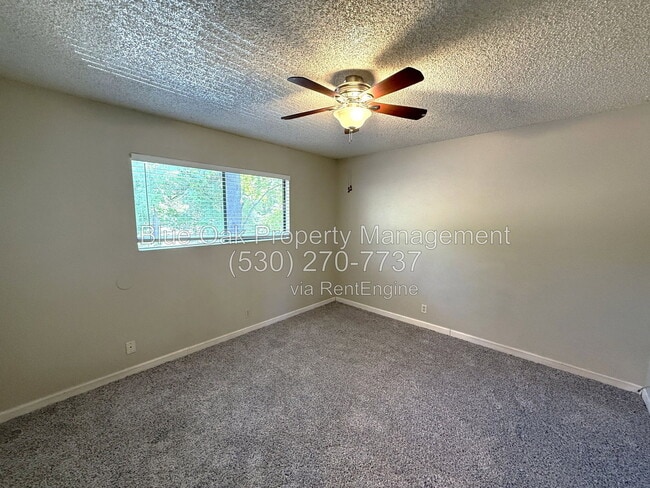 Building Photo - 985 Salem St