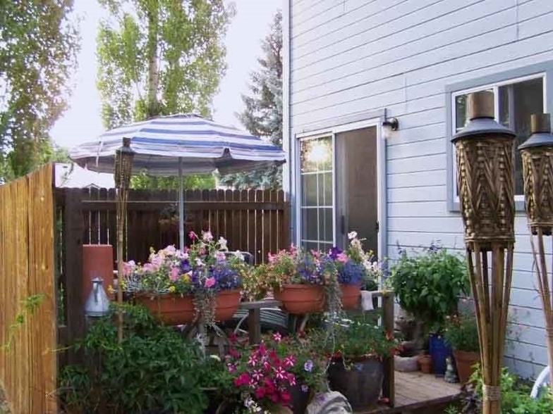 Back Deck - 346 S Elm St