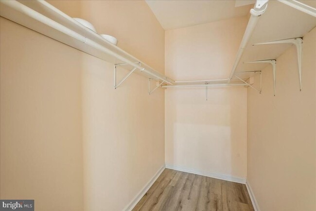 Building Photo - 905 Royal Elm Ct