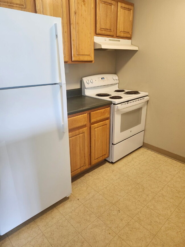 Building Photo - 1 Bedroom |1 Bathroom 1st Floor Unit in Oelwein Available in RIGHT NOW!