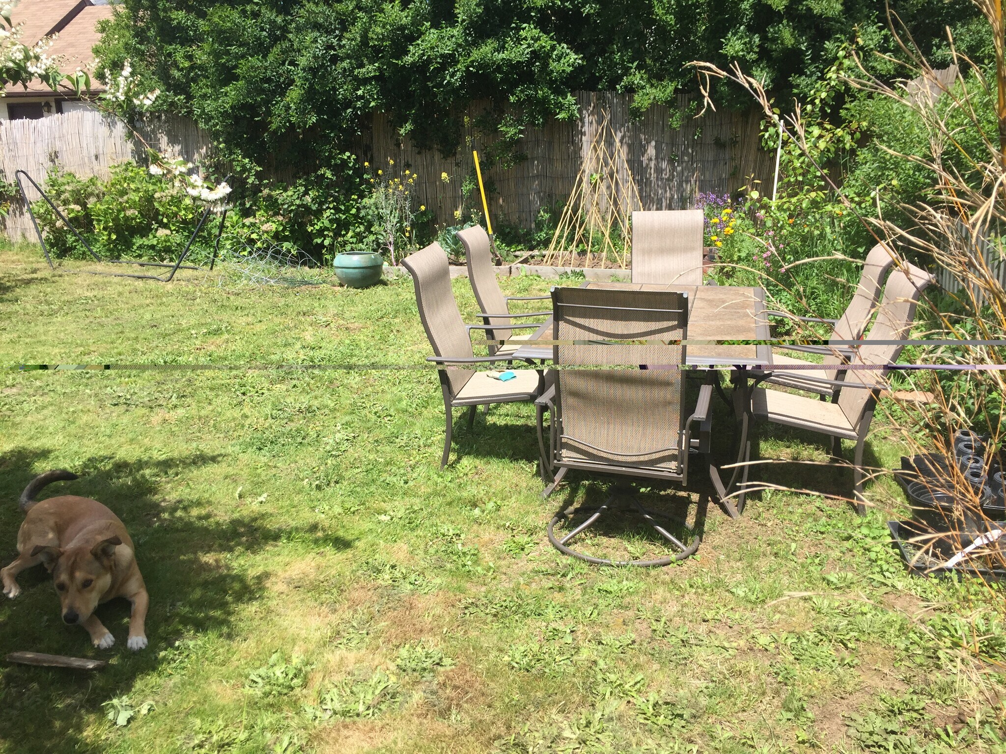 Building Photo - 850 Elrod Ave