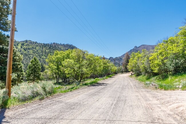 Building Photo - Serene 3 Bedroom, 2 Bathroom Home in Pine ...