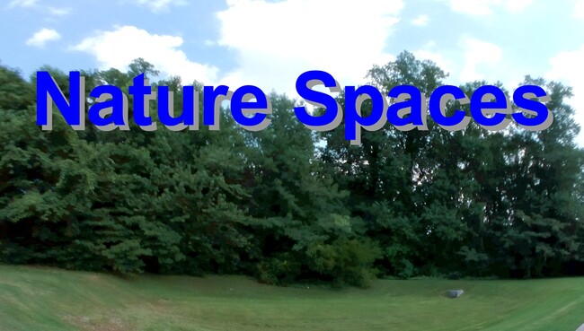 Building Photo - 908 Southmoor Dr