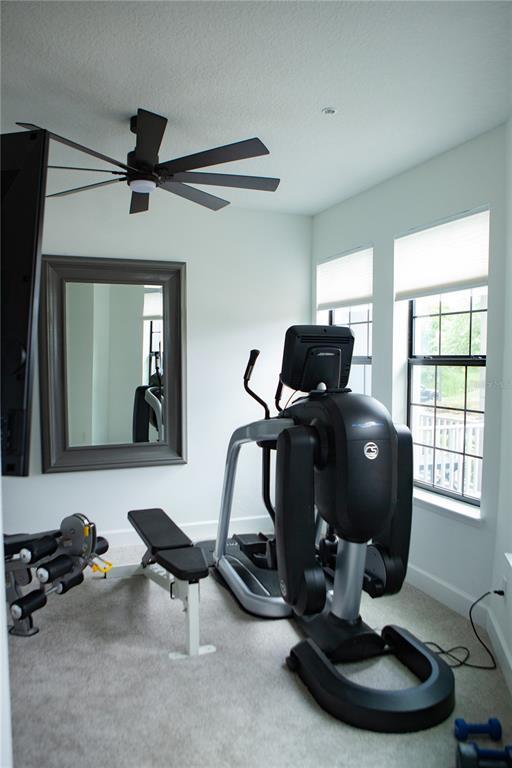 Building Photo - 1162 Spotted Sandpiper Lp